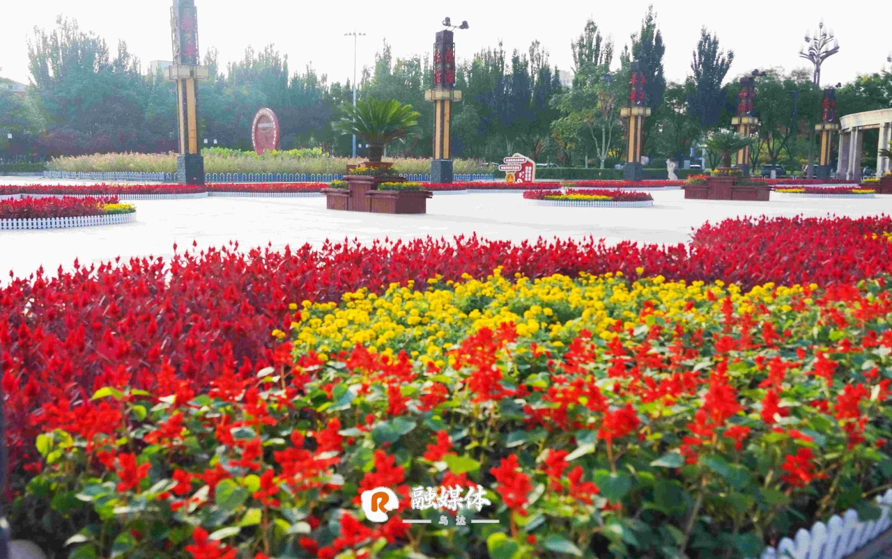 微信圖片_20240927101427